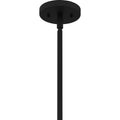 QUOIZEL, TAMARA PENDANT, PENDANT LIGHT