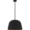 QUOIZEL, TAMARA PENDANT, PENDANT LIGHT