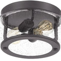 QUOIZEL, TRILOGY FLUSH MOUNT, FLUSH MOUNT CEILING LIGHTS