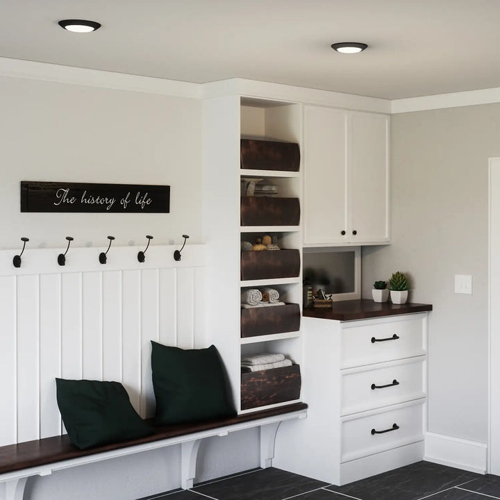 QUOIZEL, VERGE FLUSH MOUNT, FLUSH MOUNT CEILING LIGHTS