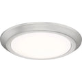 QUOIZEL, VERGE FLUSH MOUNT, FLUSH MOUNT CEILING LIGHTS