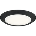 QUOIZEL, VERGE FLUSH MOUNT, FLUSH MOUNT CEILING LIGHTS