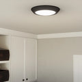 QUOIZEL, VERGE FLUSH MOUNT, FLUSH MOUNT CEILING LIGHTS