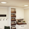 QUOIZEL, VERGE FLUSH MOUNT, FLUSH MOUNT CEILING LIGHTS
