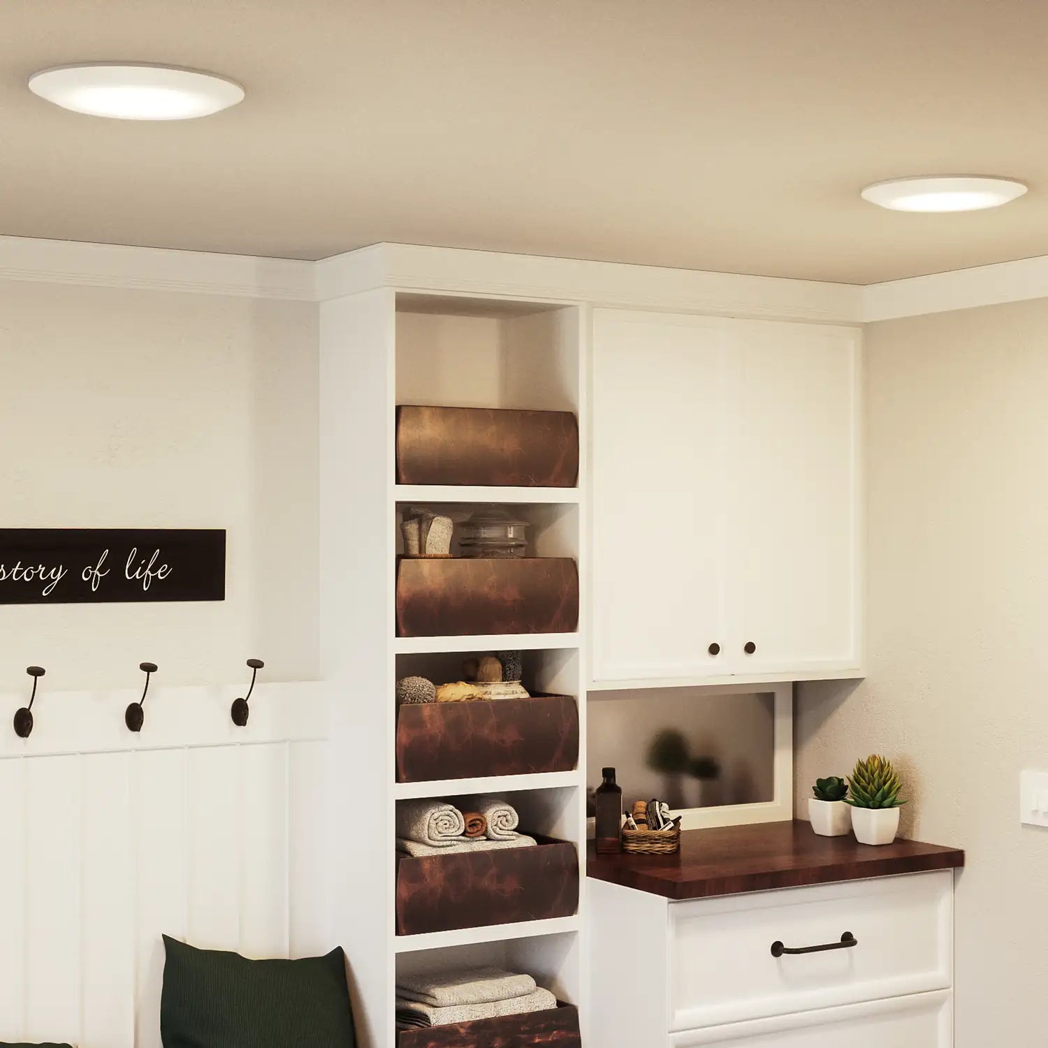 QUOIZEL, VERGE FLUSH MOUNT, FLUSH MOUNT CEILING LIGHTS