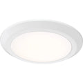 QUOIZEL, VERGE FLUSH MOUNT, FLUSH MOUNT CEILING LIGHTS
