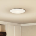 QUOIZEL, VERGE FLUSH MOUNT, FLUSH MOUNT CEILING LIGHTS