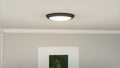 QUOIZEL, VERGE FLUSH MOUNT, FLUSH MOUNT CEILING LIGHTS