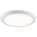 QUOIZEL, VERGE FLUSH MOUNT, FLUSH MOUNT CEILING LIGHTS
