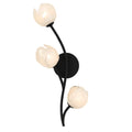 QUOIZEL, WALKER WALL SCONCE, WALL SCONCES