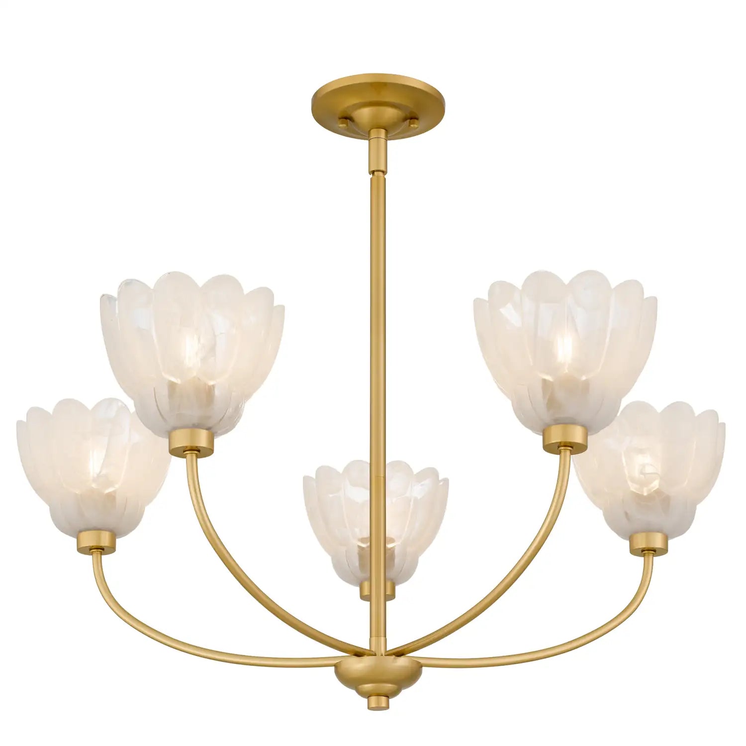 QUOIZEL, WHITECAP CHANDELIER, CHANDELIER LIGHT