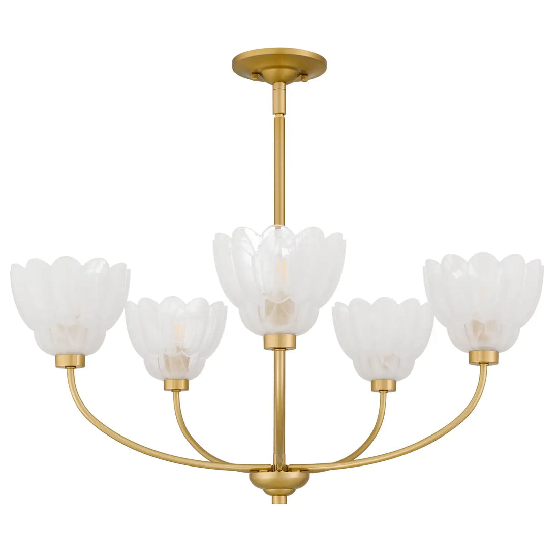 QUOIZEL, WHITECAP CHANDELIER, CHANDELIER LIGHT
