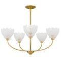 QUOIZEL, WHITECAP CHANDELIER, CHANDELIER LIGHT
