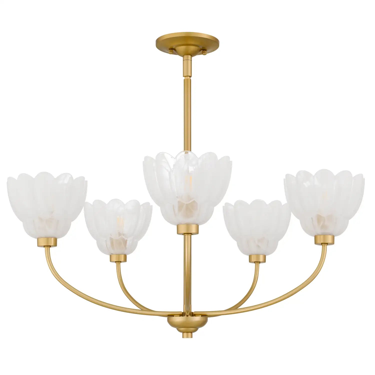 QUOIZEL, WHITECAP CHANDELIER, CHANDELIER LIGHT