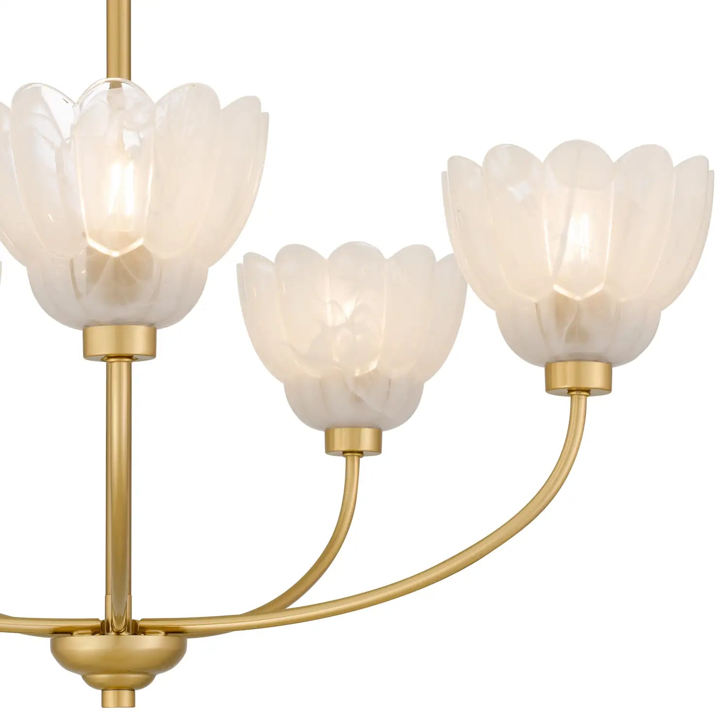 QUOIZEL, WHITECAP CHANDELIER, CHANDELIER LIGHT