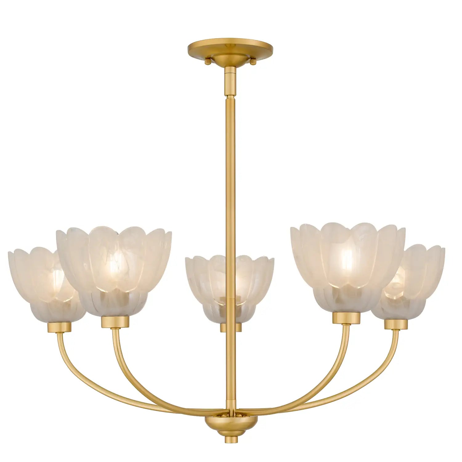 QUOIZEL, WHITECAP CHANDELIER, CHANDELIER LIGHT