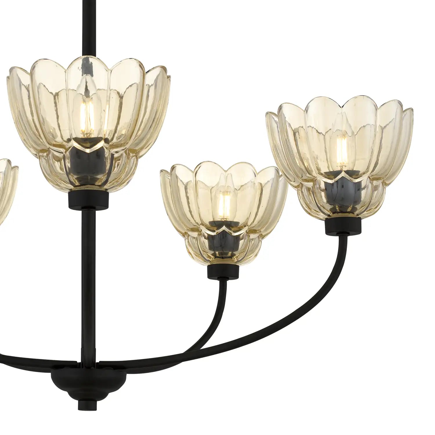 QUOIZEL, WHITECAP CHANDELIER, CHANDELIER LIGHT