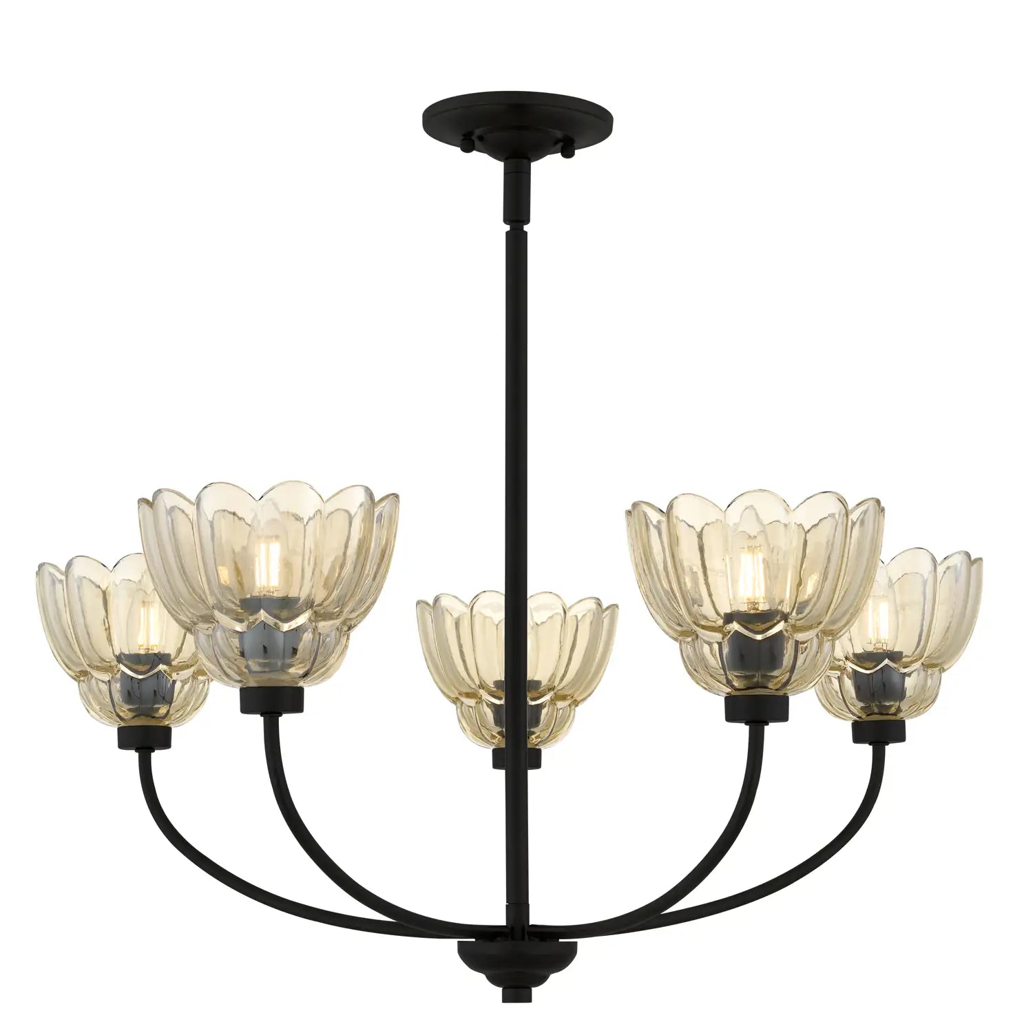 QUOIZEL, WHITECAP CHANDELIER, CHANDELIER LIGHT
