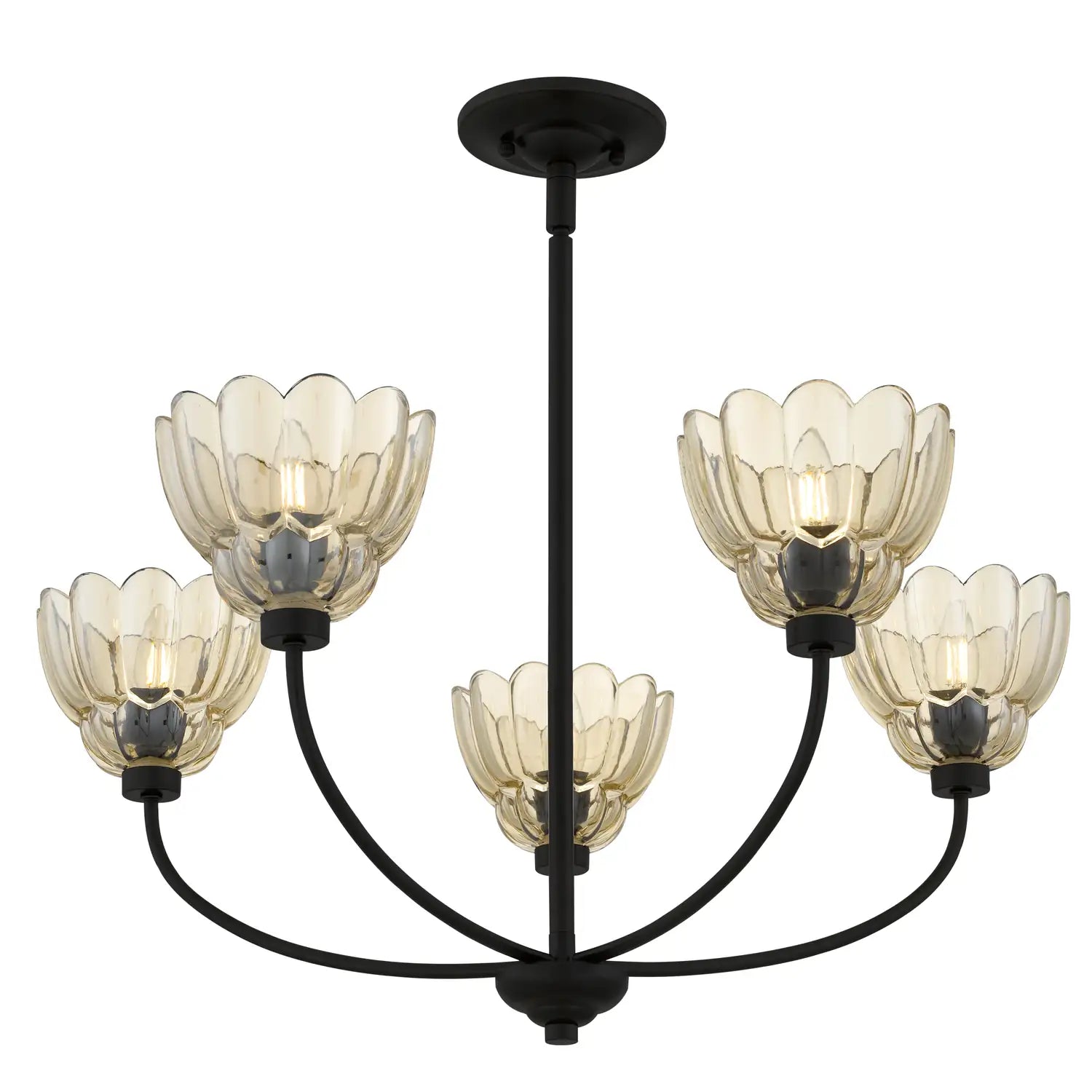 QUOIZEL, WHITECAP CHANDELIER, CHANDELIER LIGHT