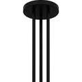 QUOIZEL, WINSLAND CHANDELIER, CHANDELIER LIGHT