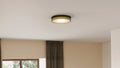 QUOIZEL, WELDIN FLUSH MOUNT, FLUSH MOUNT CEILING LIGHTS