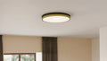 QUOIZEL, WELDIN FLUSH MOUNT, FLUSH MOUNT CEILING LIGHTS