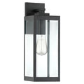 QUOIZEL, WESTOVER OUTDOOR LANTERN, OUTDOOR CEILING LIGHTS