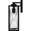 QUOIZEL, ZARAH OUTDOOR LANTERN, OUTDOOR CEILING LIGHTS