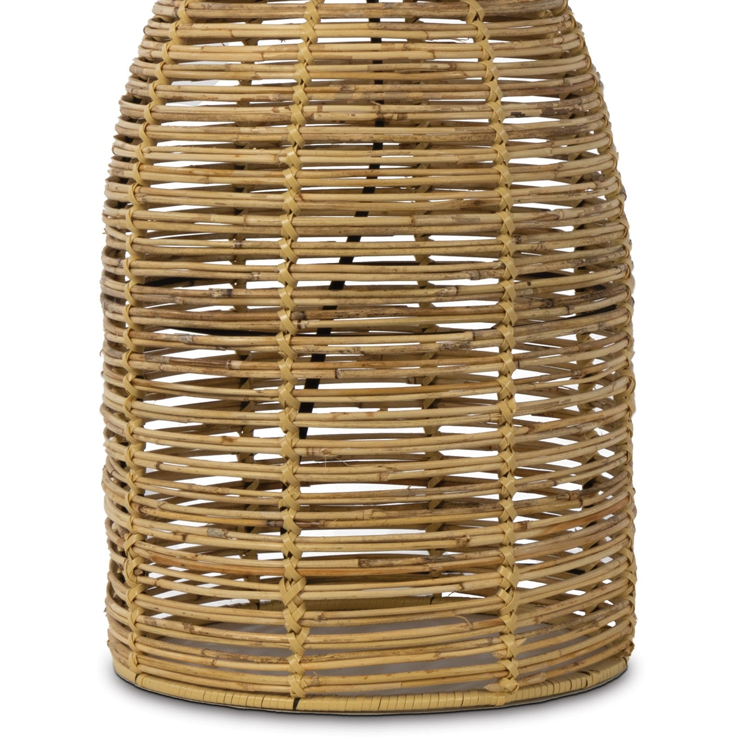 REGINA ANDREW 13-1574 ceac0513-bbec-4095-849a-013241194473