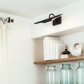 Regina Andrew, REDFORD PICTURE LIGHT, PICTURE LIGHTS