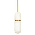 REGINA ANDREW, SALON PENDANT, PENDANT LIGHT