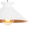 Regina Andrew, VIGGO PENDANT, PENDANT LIGHT