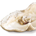 Regina Andrew IMPERIAL CLAM - Decorative Accents