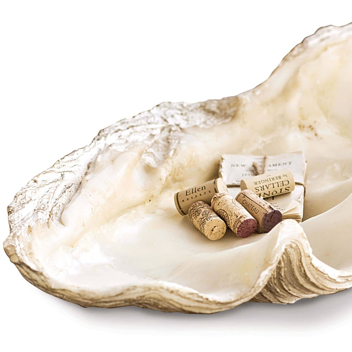 Regina Andrew IMPERIAL CLAM - Decorative Accents