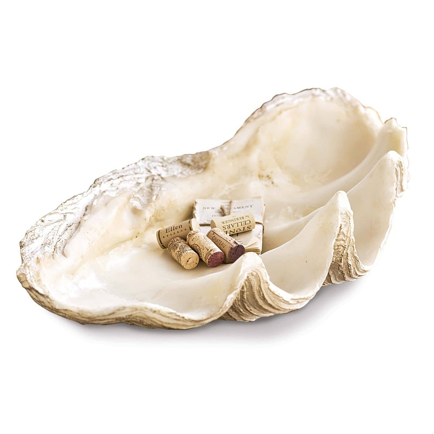 REGINA ANDREW IMPERIAL CLAM - Decorative Accents