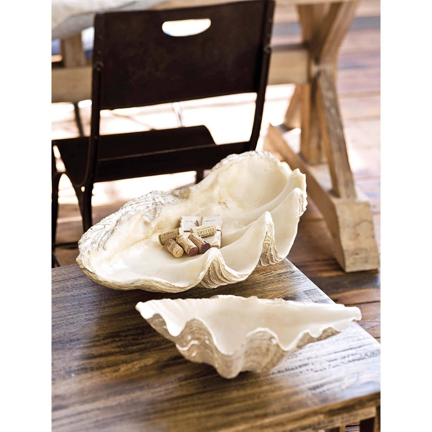 Regina Andrew IMPERIAL CLAM - Decorative Accents