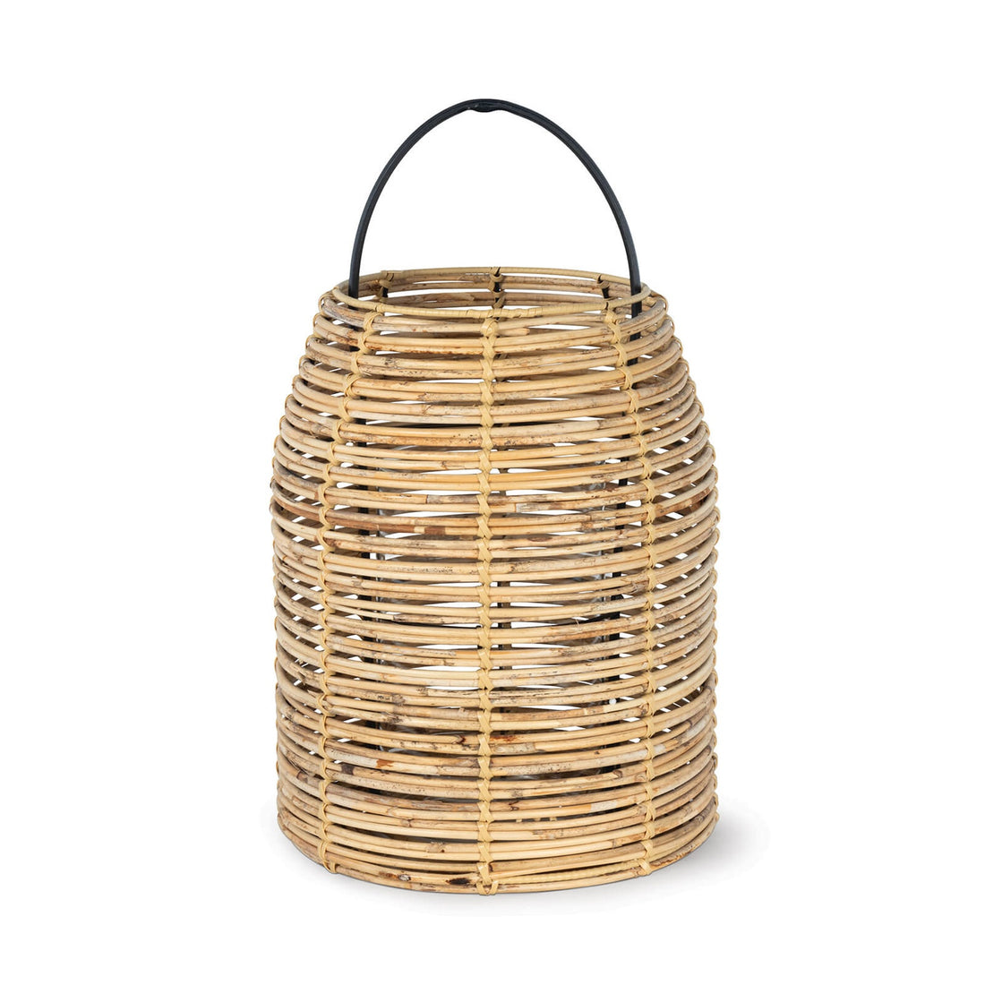 REGINA ANDREW 20-1491 2950115c-7738-4b48-ae40-393107a95a85