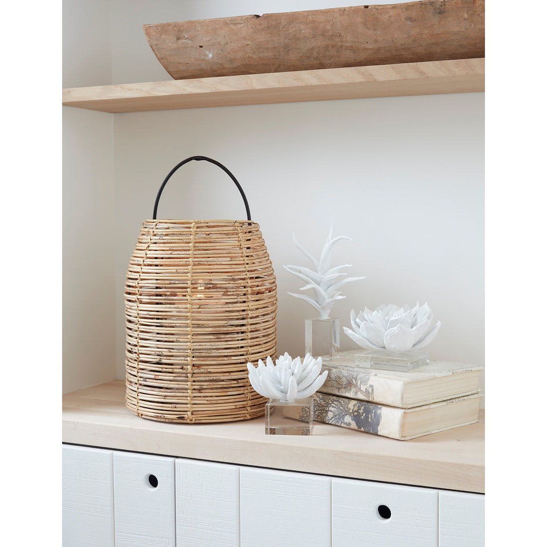 REGINA ANDREW 20-1491 2950115c-7738-4b48-ae40-393107a95a85