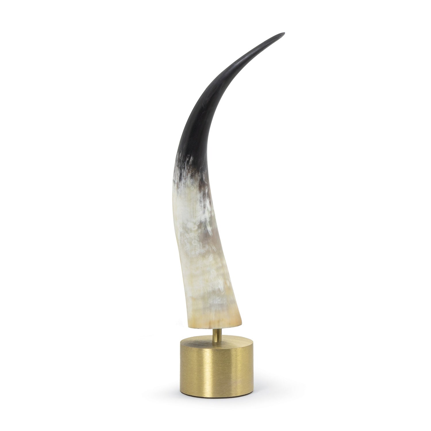 Regina Andrew DAYLON HORN - Decorative Accents
