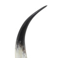 Regina Andrew DAYLON HORN - Decorative Accents