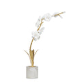 Regina Andrew THYLANE ACCESSORY 1 - Decorative Accents
