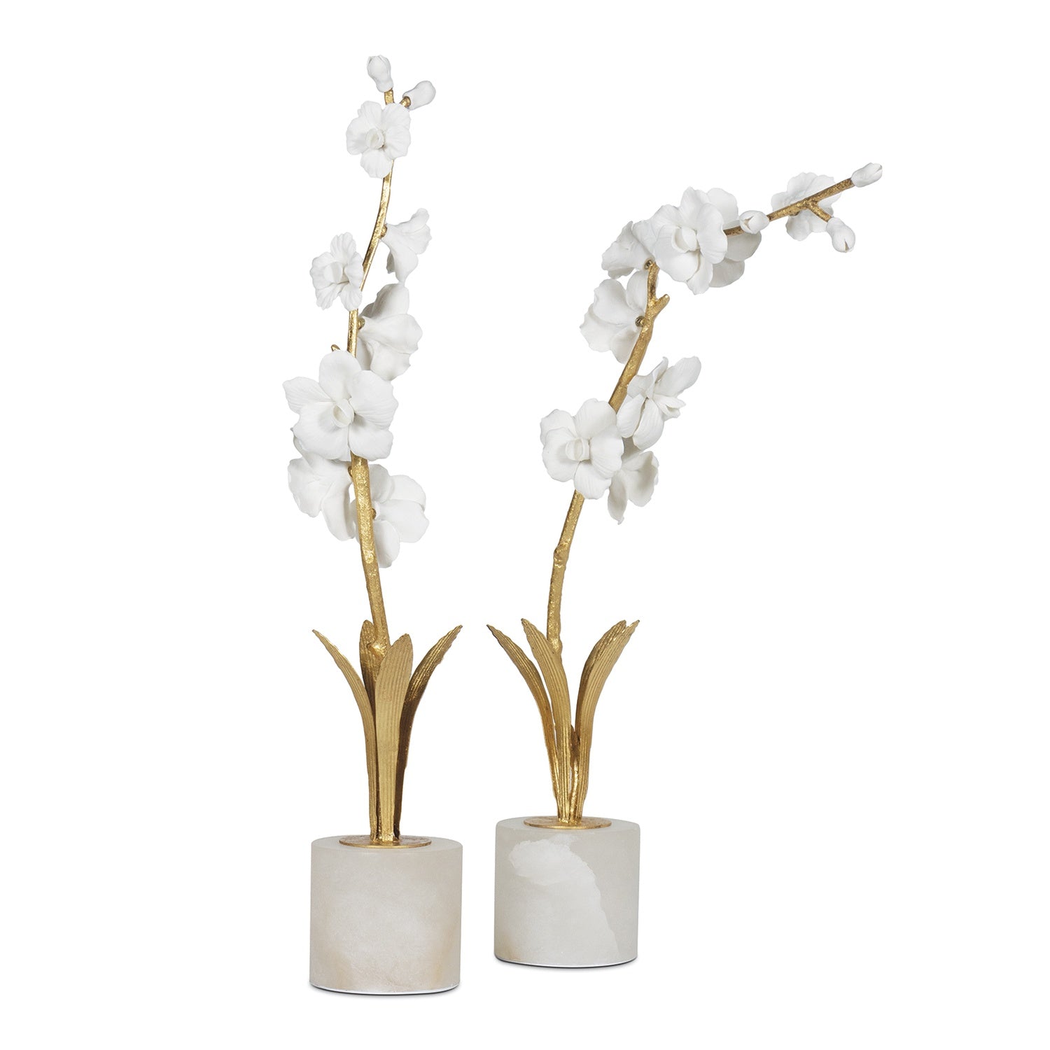 Regina Andrew THYLANE ACCESSORY 1 - Decorative Accents