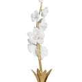 Regina Andrew THYLANE ACCESSORY 2 - Decorative Accents