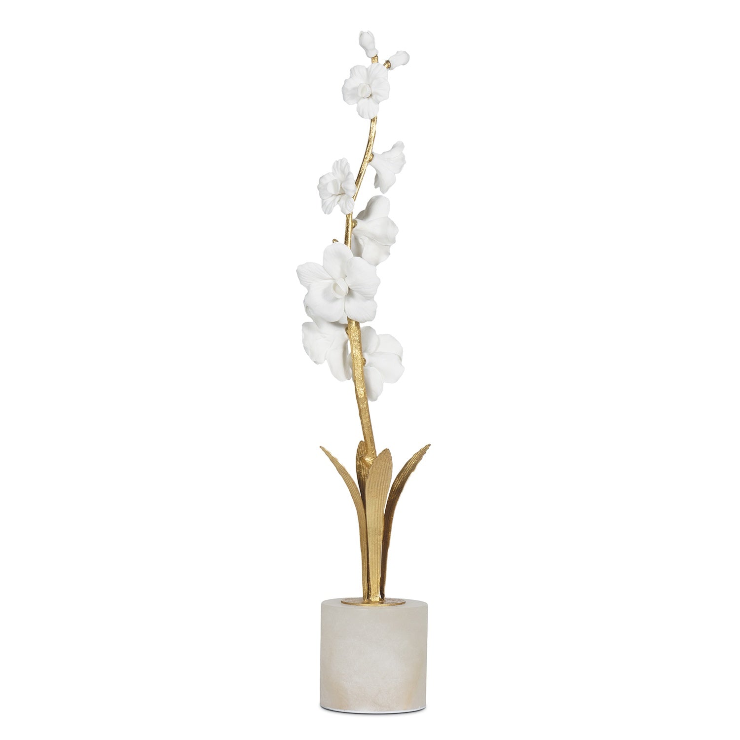 Regina Andrew THYLANE ACCESSORY 2 - Decorative Accents