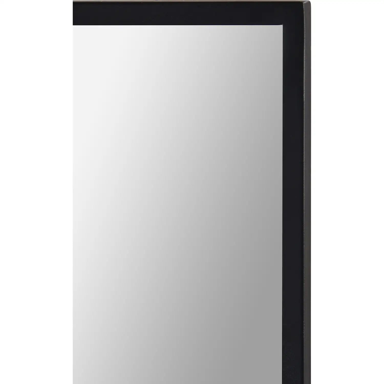 RENWIL RAIZEL RECTANGLE WALL MIRROR - Mirrors