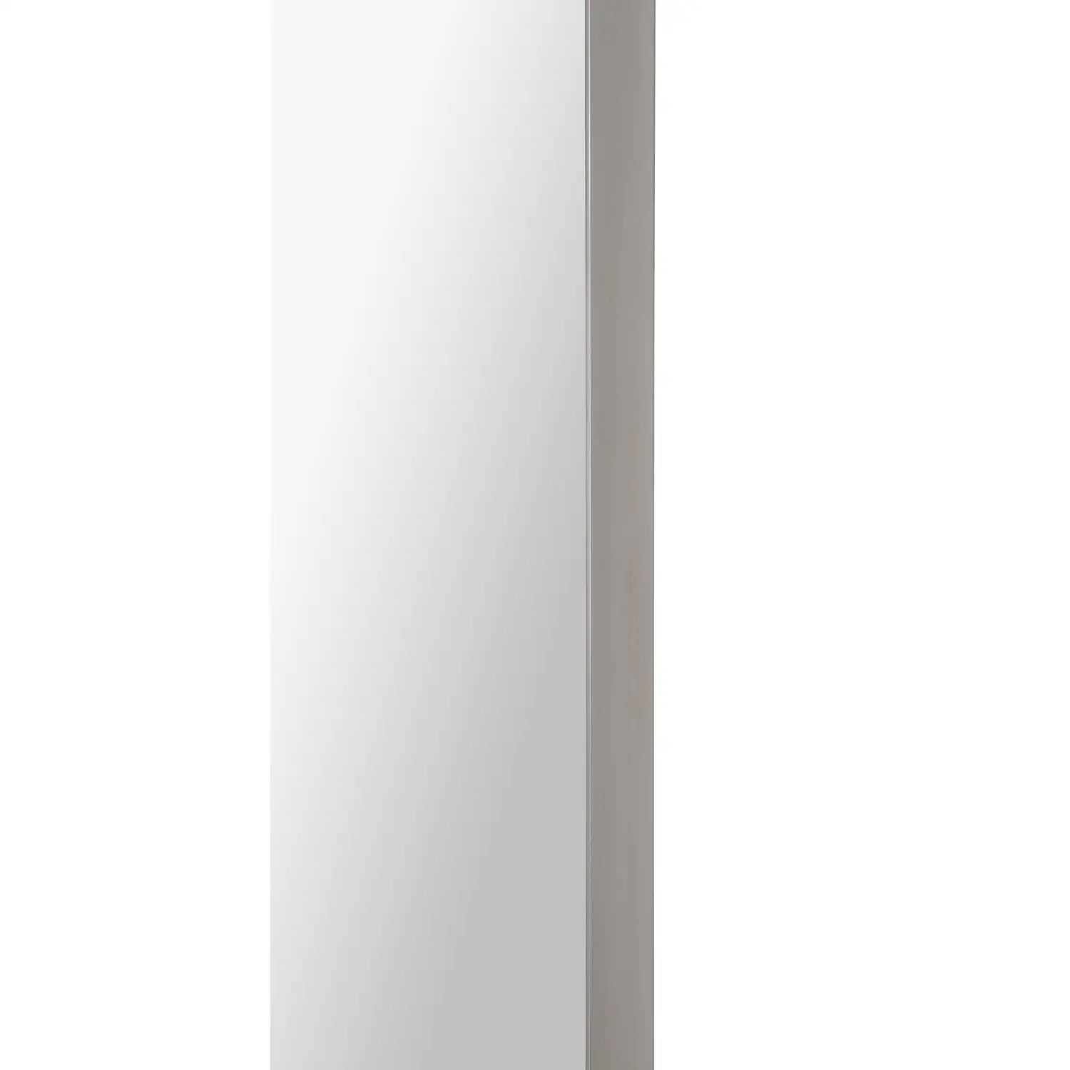 RENWIL DELPHINUS RECTANGLE WALL MIRROR - Mirrors