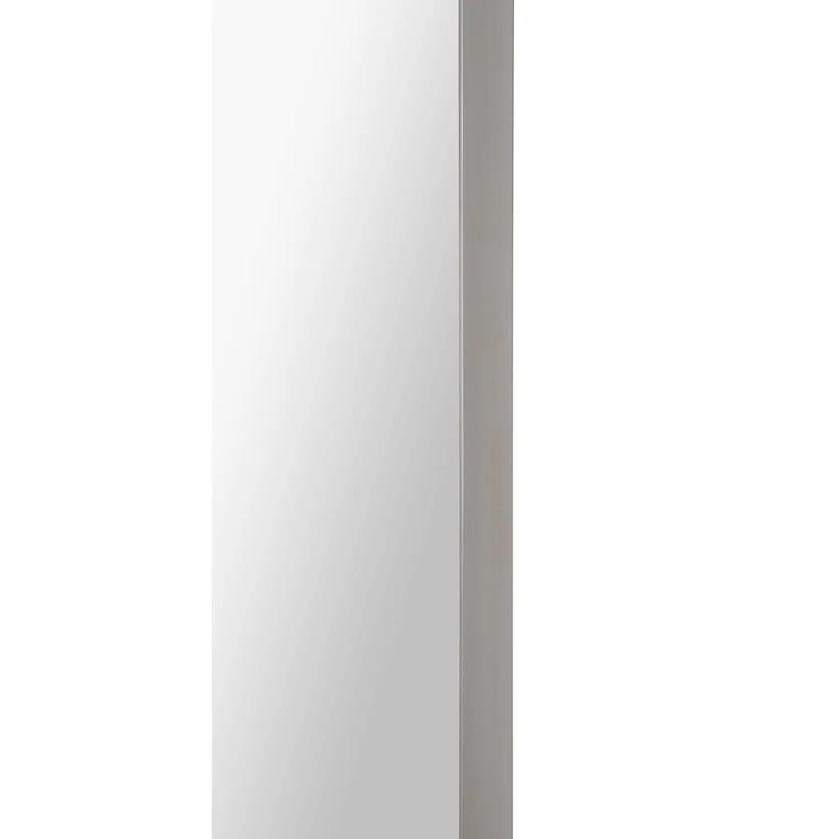 RENWIL Delphinus Rectangle Wall Mirror - Mirrors