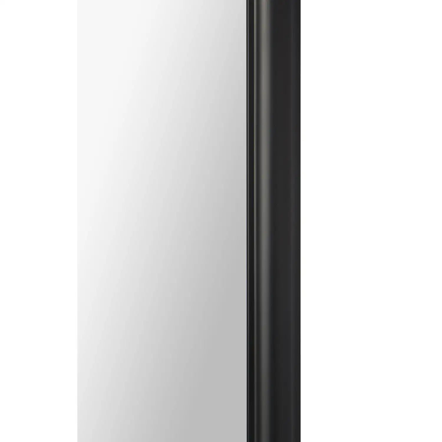 RENWIL PRISCILLA RECTANGLE WALL MIRROR - Mirrors