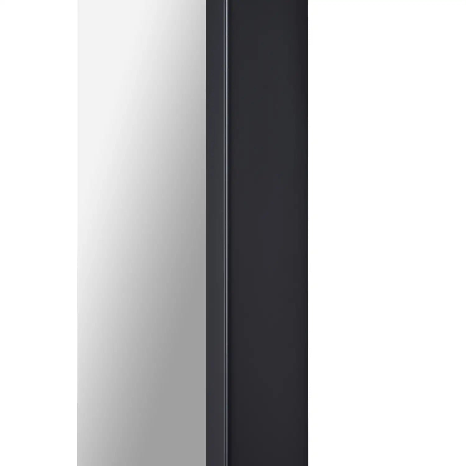 RENWIL KEENE RECTANGLE FULL LENGTH MIRROR - Mirrors
