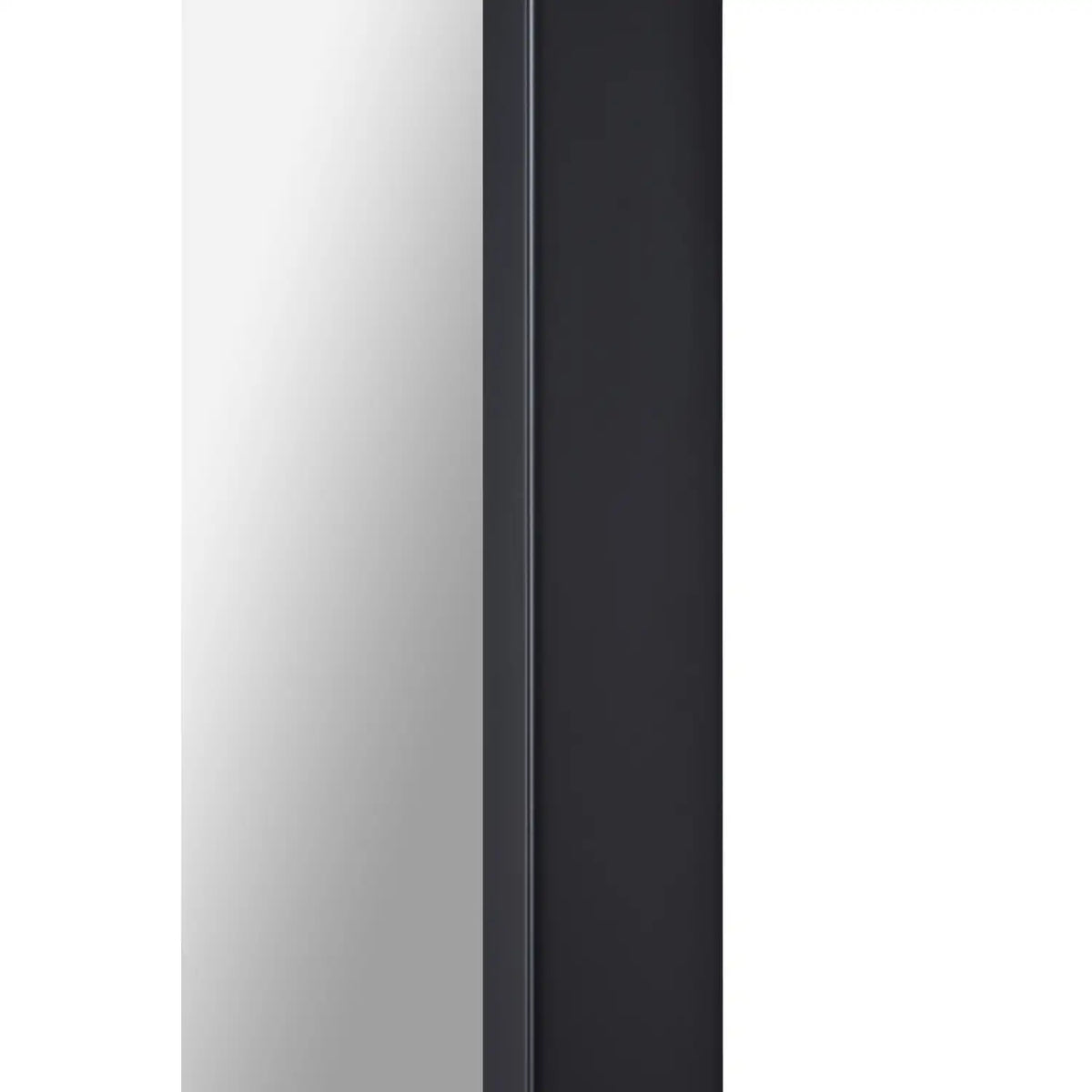 RENWIL Keene Rectangle Full Length Mirror - Mirrors